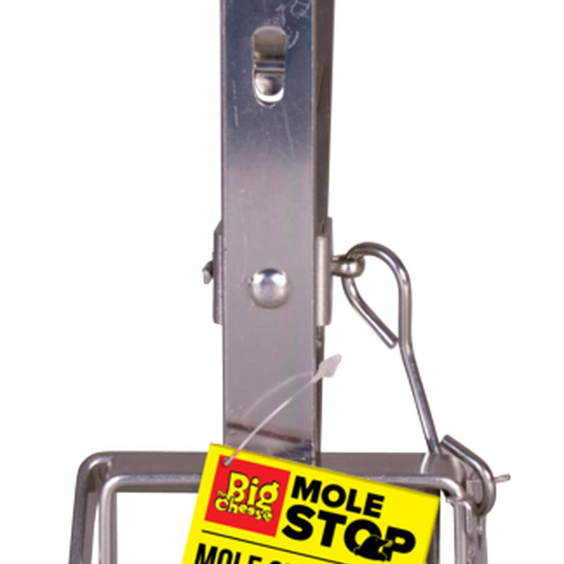 The Big Cheese Mole Claw Trap