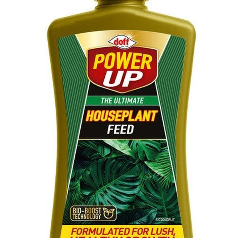 Power Up The Ultimate Houseplant Feed