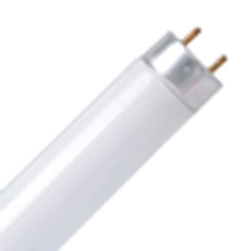TCP LED T8 Tube Cool White 4ft