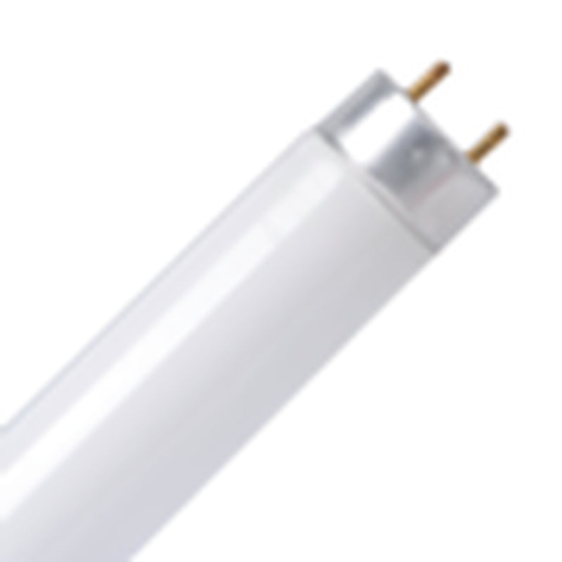 TCP LED T8 Tube Cool White 4ft