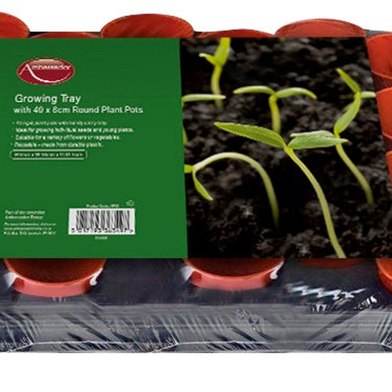 Ambassador Growing Tray 18 x 9cm Round Pots