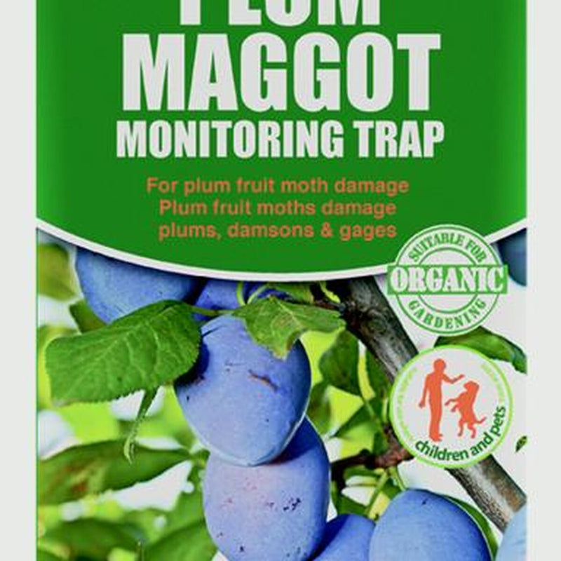Vitax Plum Maggot Trap