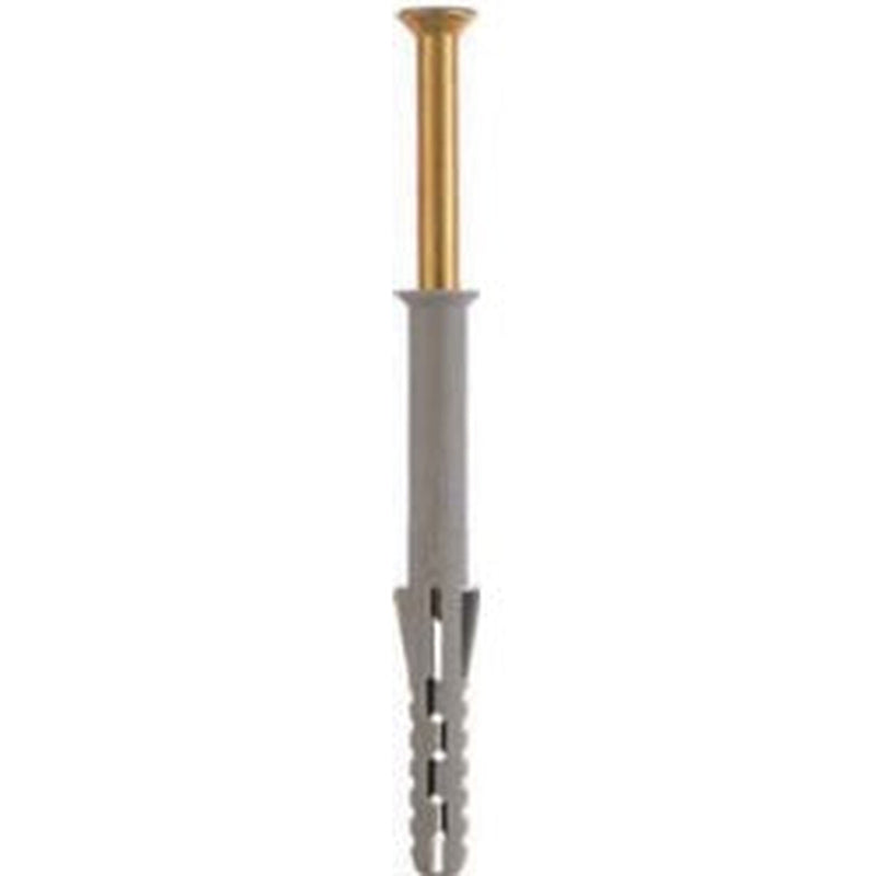 Rawlplug Frame Fixing Pack 12 10X160
