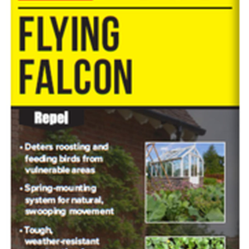The Big Cheese Flying Falcon