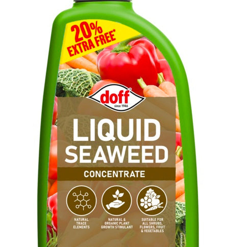 Doff Liquid Seaweed Concentrate 1.2L Extra Fill