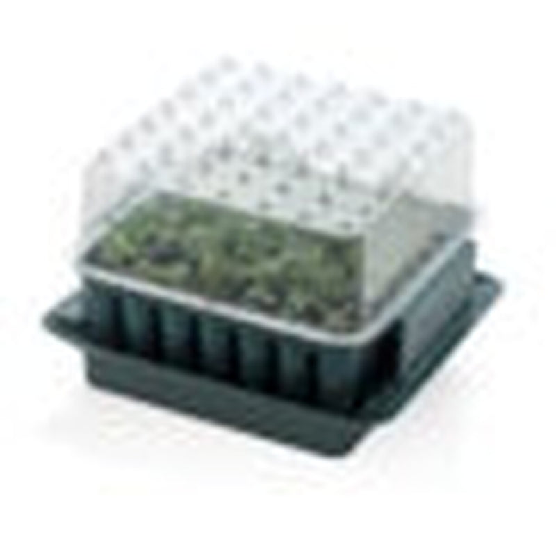 Agralan Plug Plant Trainer
