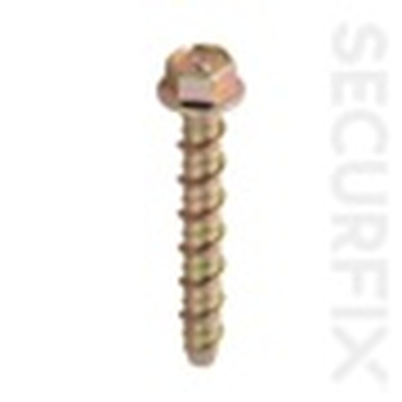 Securfix Concrete Bolt 10 Pack M6 x 150mm