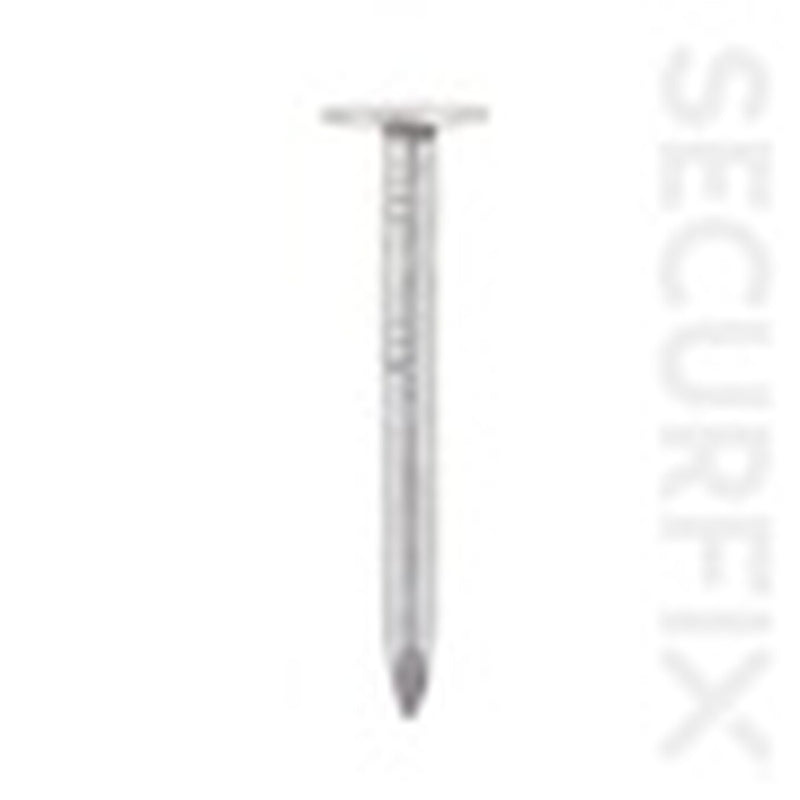 Securfix Clout Nails Galvanised 20mm 2.5kg