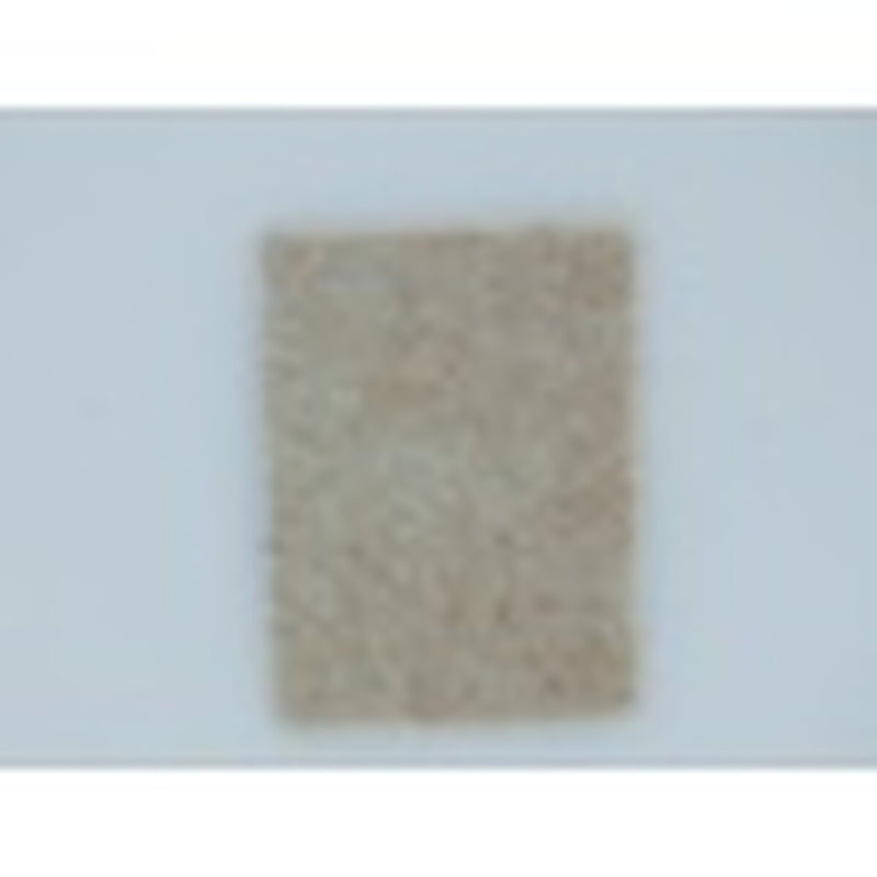 Securpak Adhesive Felt Pads 100mmx70mm