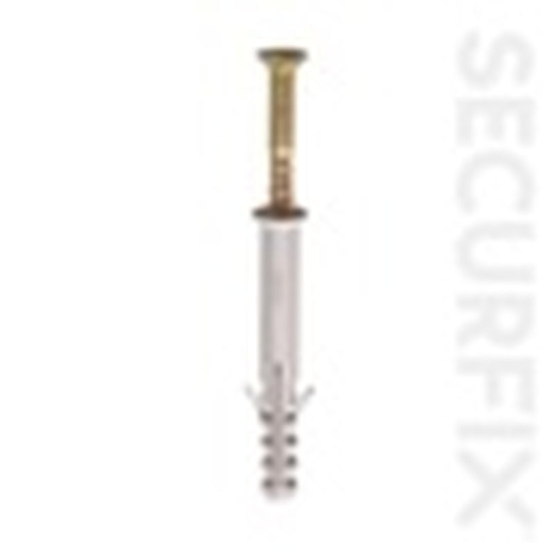Securfix Frame Fixing M10 x 120mm Pack 10