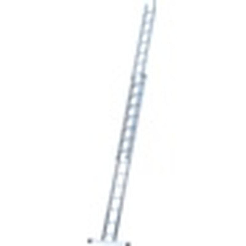 Werner 2 Section Trade Extension Ladder 4.25m