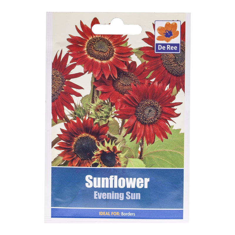 Seeds332