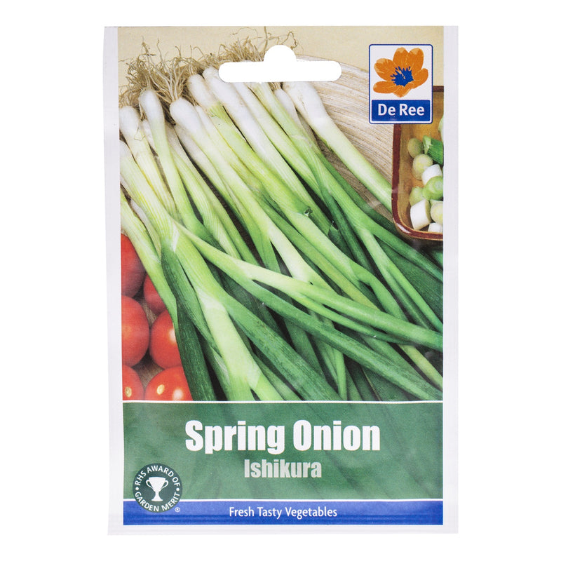 spring Onion Long White ishikura